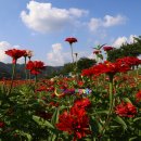 본전갈비 이미지