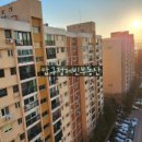 압구정-118 이미지