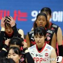 여자배구 &#39;꼴찌&#39; 페퍼, 내부서도 잡음…선수단 내 괴롭힘으로 일부 선수 팀 떠나 이미지