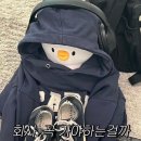 마포본가