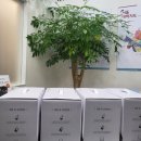 소나무한약국 이미지