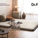 이어프렌드 이미지