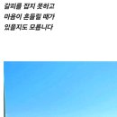 바다좋은 Daum카페