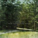 데이라이트 이미지