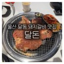 동백초등학교 | 울산 달동 맛집 고깃집 달돈, 양념돼지갈비 찐 맛집
