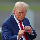 보나테크 이미지