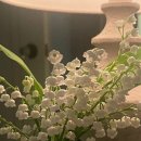 은방울노래방 이미지