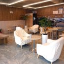 푸른셀프워시 이미지