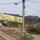도립애경사났네