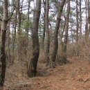 효석문학100리길 제4구간 이미지