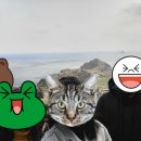 제주YOUNG돈 이미지