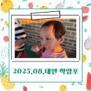 선라이즈펜션 | 태안 학암포 해수욕장 선라이즈 펜션에서 보낸 완벽한 여름휴가