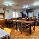 연안애견 이미지