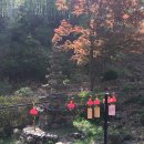 반송동247 이미지