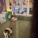 현대믿음카써비스 이미지