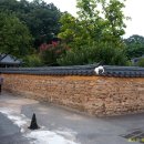 다시식당 이미지