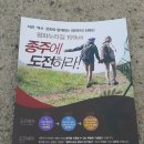 헤이리길 이미지