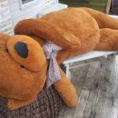 곰 펜션 이미지