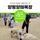 하영목장 네이버블로그