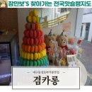 겸카롱 | 대구 반월당 마카롱맛집 동성로 마카롱맛집 겸카롱 방문후기