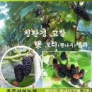 고향펜션캠핑 이미지