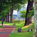 보강천 체육공원 이미지