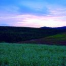 학원농장민박 이미지