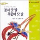 꽁지