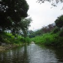 진밭매점 | 2013년 5th - 원주 진밭골향기캠핑장(2013년 07월05일 ~ 07월7일)