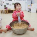 24절기 생태교육 이미지