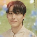 더오월