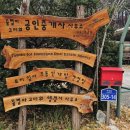 비지니스단란주점