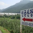 억산농장 Daum카페