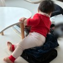 (주)천이코끼리주유소 | 12월 둘째주