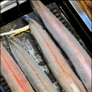 진로스장어시대 이미지