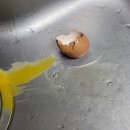 떠오름 유통 이미지