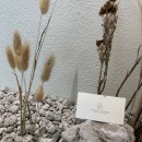 스튜디오은솔 이미지