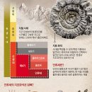 [재미있는 과학] 연간 닭 600억 마리 도축… 닭뼈, 현 시대 지표 화석 될 수도 이미지