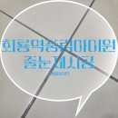 회룡1마을화장실 | 의정부회룡역풍림아이원 아스팍샤인줄눈재시공후기!