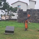 말등포연대 이미지