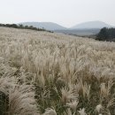 천안공고 이미지