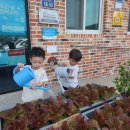 거제유치원 이미지