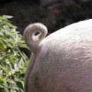 원종축산 이미지