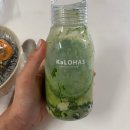 1219푸드 | ✔️30대 이너뷰티 챙기기 / 내돈내산 솔직후기 - 칼로하스 케일가루 · 테라큐민 커큐민 · 세렌 가든오브...