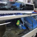 광영상설시장 | 광영상설시장 영광회센타 신선한 회 포장에는 이곳에서!