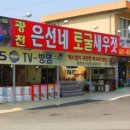 광천은선네토굴새우젓
