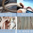 통영바다장어구이 - 천안시 서북구 입장시장3길 7 | 통영바다장어구이