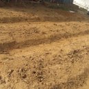 주아농장 이미지