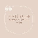 욜로와 이미지