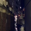 삼합홍어회전문